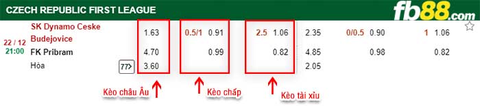 fb88-kèo chấp Dynamo Ceske Budejovice vs Marila Pribram