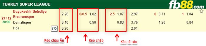 fb88-kèo chấp Erzurum BB vs Denizlispor