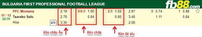 fb88-kèo chấp PFK Montana vs Tsarsko Selo