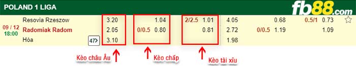 fb88-kèo chấp Resovia Rzeszow vs Radomiak Radom