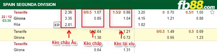 fb88-kèo chấp Tenerife vs Girona