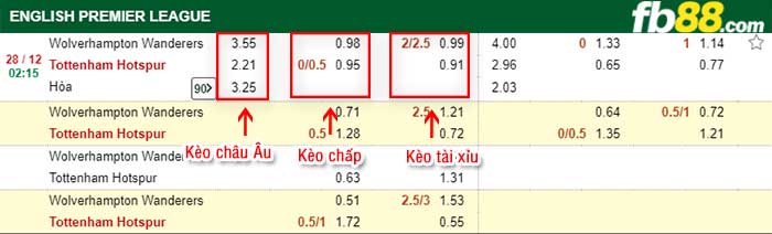 fb88-kèo chấp Wolves vs Tottenham