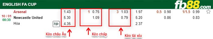 fb88-kèo chấp Arsenal vs Newcastle