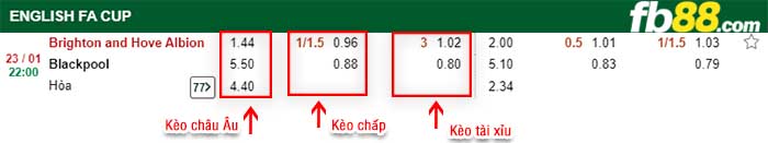 fb88-kèo chấp Brighton vs Blackpool
