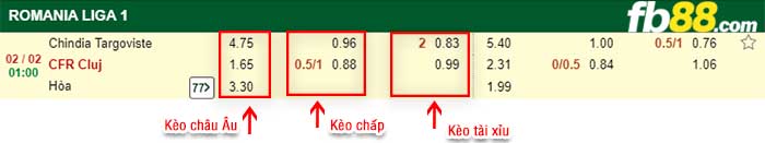 fb88-kèo chấp Chindia Targoviste vs Cluj
