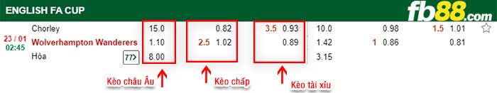 fb88-kèo chấp Chorley vs Wolves