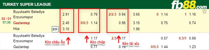 fb88-kèo chấp Erzurum BB vs Gazisehir Gaziantep