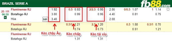 fb88-kèo chấp Fluminense vs Botafogo