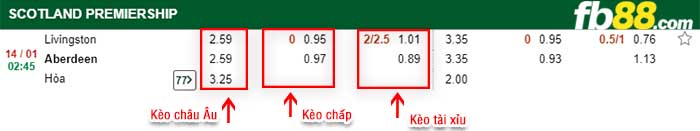 fb88-kèo chấp Livingston F.C. vs Aberdeen