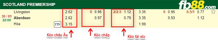 fb88-kèo chấp Livingston vs Aberdeen