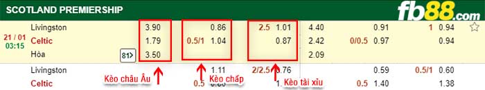fb88-kèo chấp Livingston vs Celtic