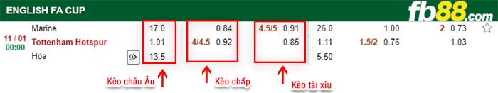 fb88-kèo chấp Marine vs Tottenham