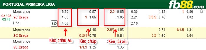 fb88-kèo chấp Moreirense vs Braga