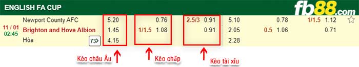 fb88-kèo chấp Newport County vs Brighton