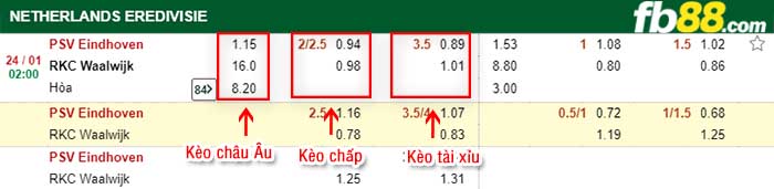 fb88-kèo chấp PSV vs Waalwijk