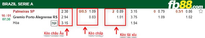 fb88-kèo chấp Palmeiras vs Gremio
