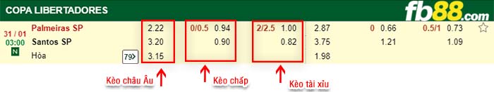 fb88-kèo chấp Palmeiras vs Santos