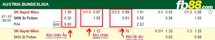 fb88-kèo chấp Rapid Wien vs St.Polten