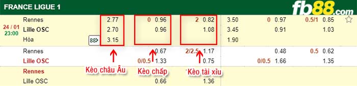 fb88-kèo chấp Rennes vs Lille