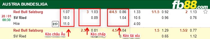 fb88-kèo chấp Salzburg vs Ried