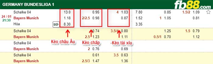 fb88-kèo chấp Schalke vs Bayern Munich