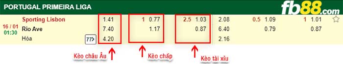 fb88-kèo chấp Sporting Clube de vs Rio Ave
