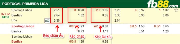 fb88-kèo chấp Sporting vs Benfica