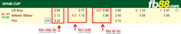 fb88-kèo chấp UD Ibiza vs Athletic Bilbao