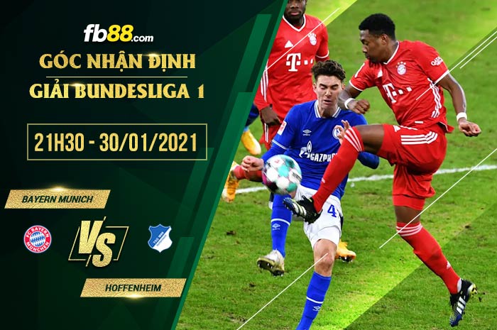 fb88-soi kèo Bayern Munich vs Hoffenheim