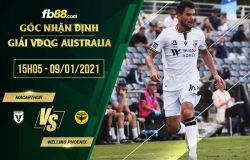 fb88-soi kèo Macarthur vs Wellington Phoenix