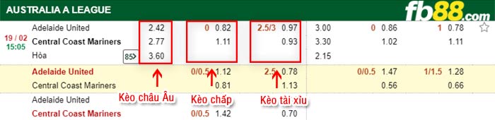 fb88-kèo chấp Adelaide United vs Central Coast