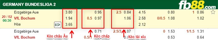 fb88-kèo chấp Aue vs Bochum
