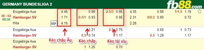 fb88-kèo chấp Aue vs Hamburger