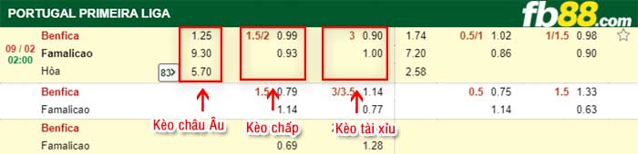 fb88-kèo chấp Benfica vs Famalicao