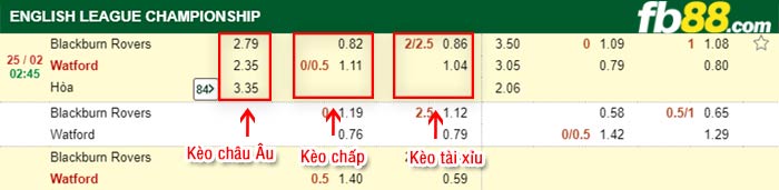 fb88-kèo chấp Blackburn vs Watford
