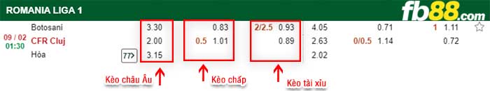 fb88-kèo chấp Botosani vs Cluj