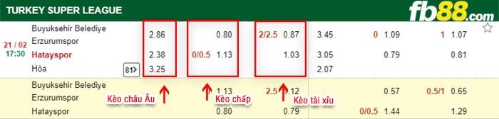 fb88-kèo chấp Buyuksehir vs Hatayspor