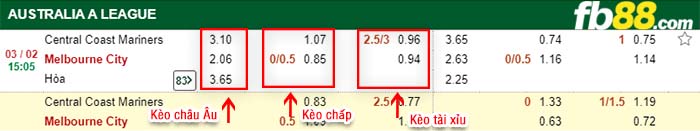 fb88-kèo chấp Central Coast vs Melbourne City