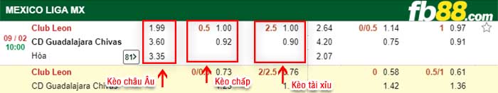 fb88-kèo chấp Club Leon vs Chivas Guadalajara