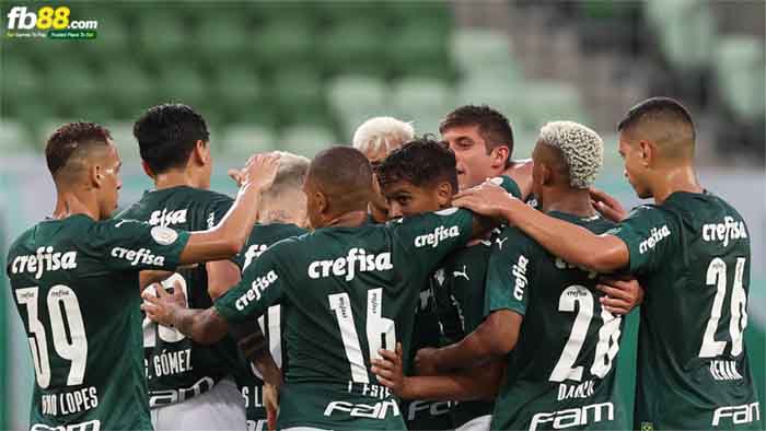 fb88-kèo chấp Coritiba vs Palmeiras
