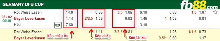 fb88-kèo chấp Essen vs Leverkusen