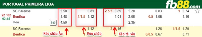 fb88-kèo chấp Farense vs Benfica