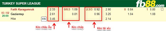fb88-kèo chấp Fatih Karagumruk vs Gazisehir Gaziantep