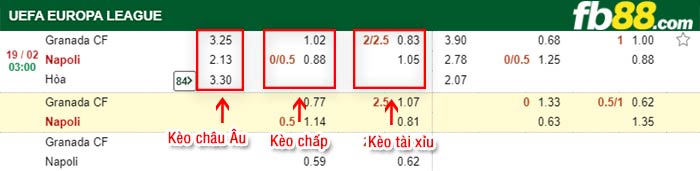 fb88-kèo chấp Granada vs Napoli