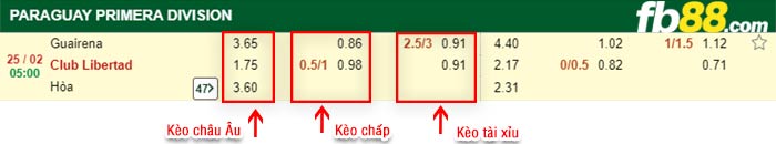 fb88-kèo chấp Guairena vs Club Libertad