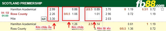fb88-kèo chấp Hamilton vs Ross County