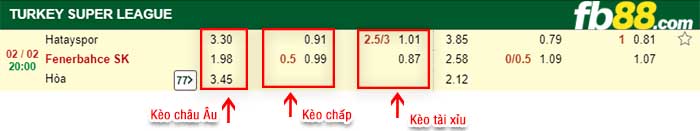 fb88-kèo chấp Hatayspor vs Fenerbahce