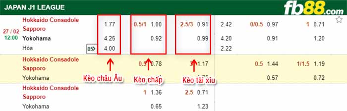 fb88-kèo chấp Hokkaido vs Yokohama