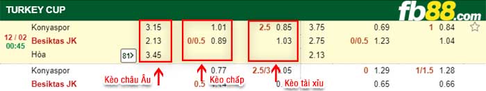 fb88-kèo chấp Konyaspor vs Besiktas