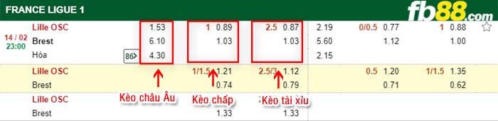 fb88-kèo chấp Lille vs Brestois